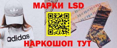 мдпв Камышлов