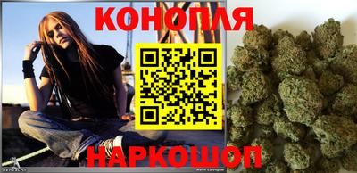 мдпв Камышлов