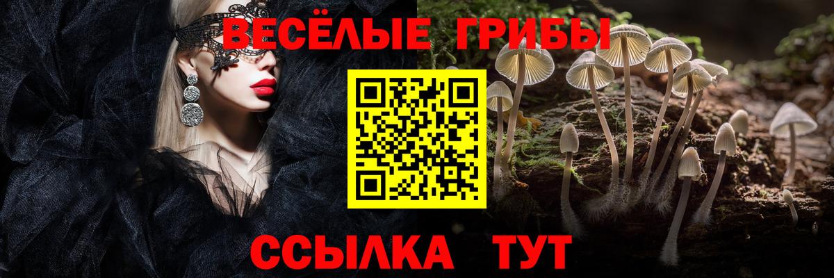 Майский  Галлюциногенные грибы мицелий  Вход с VPN  Псилоцибиновые грибы GOLDEN TEACHER 